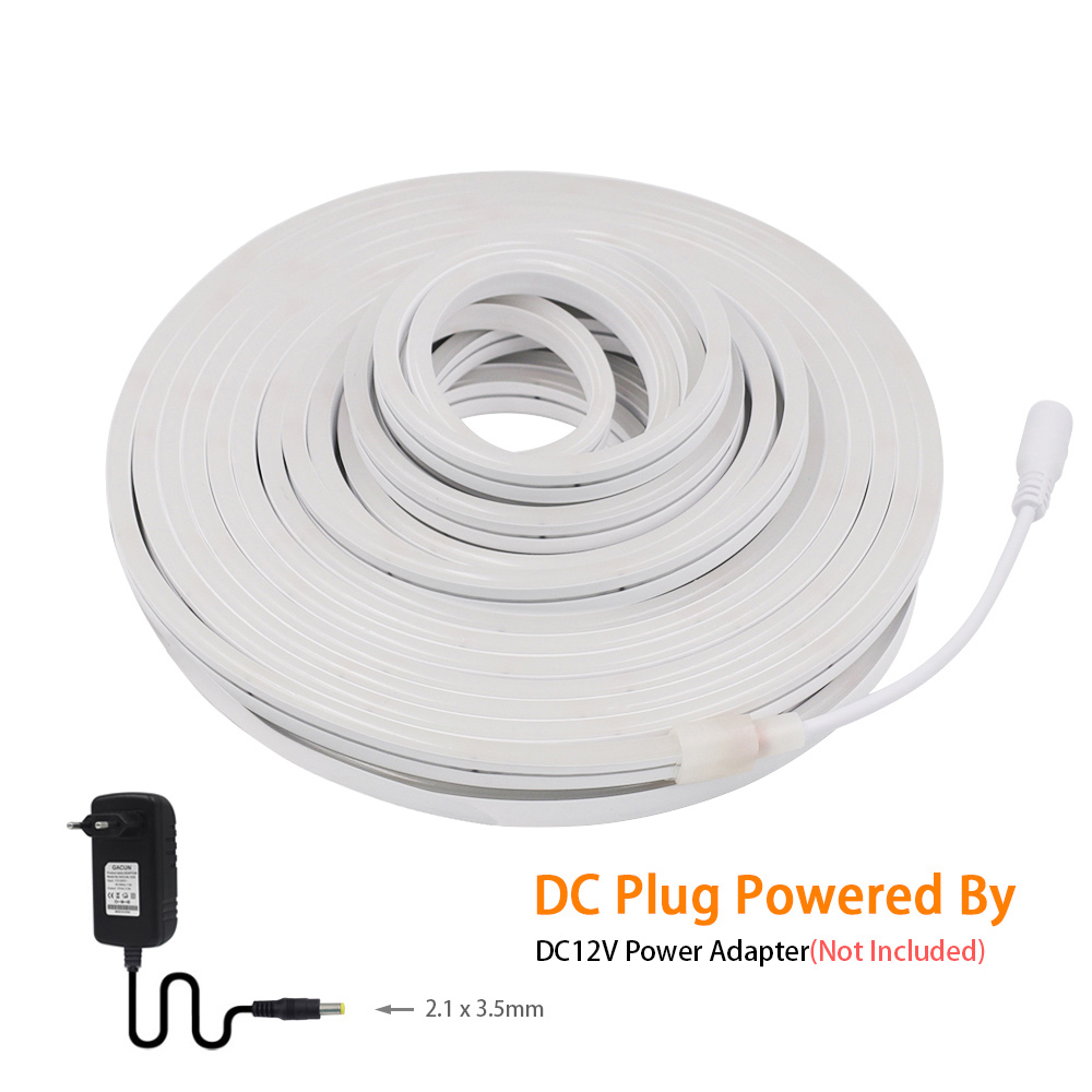 DC 12V LED Neon Strip Light Ne - Decor Lighting Hours 评论和价格
