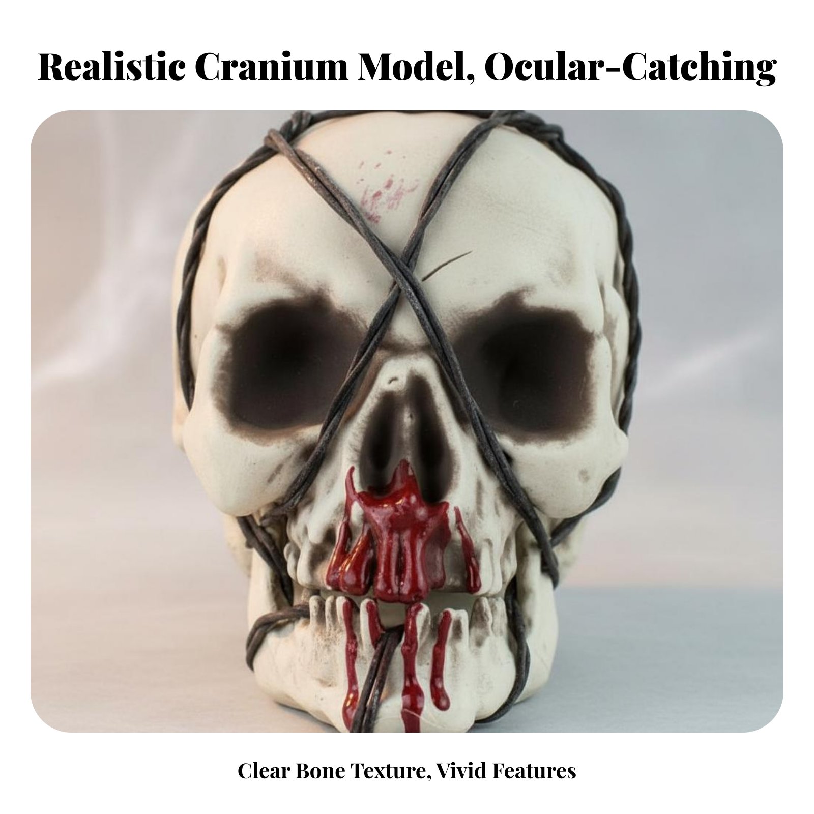 Realistic Skull Model Horror T - Lighting Decor 评论和价格
